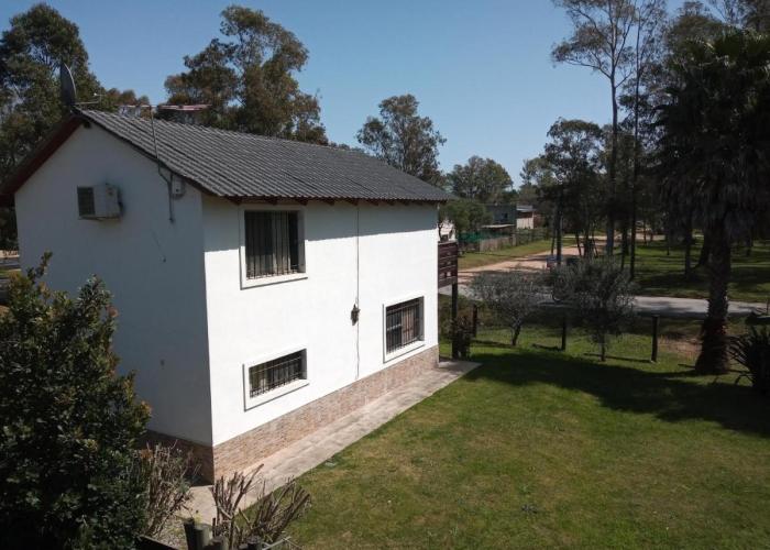 El Olivar