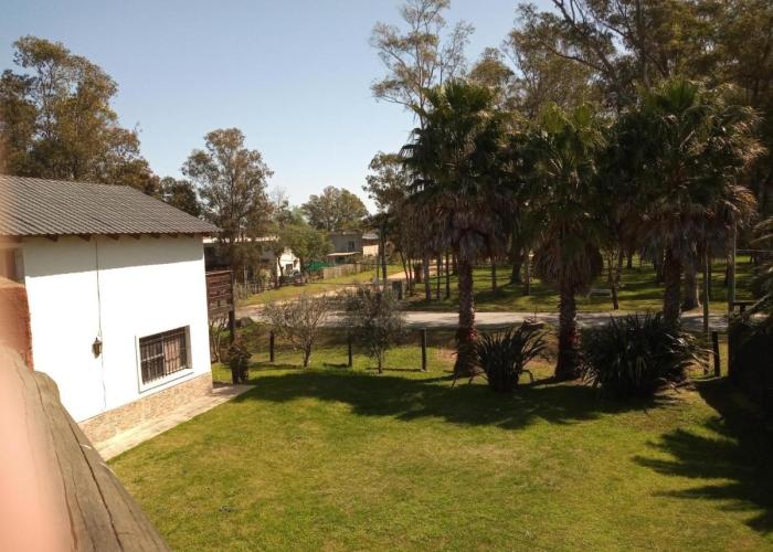 El Olivar