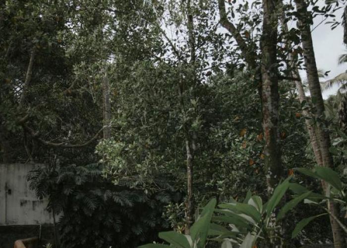Woradi Solitude Bungalow