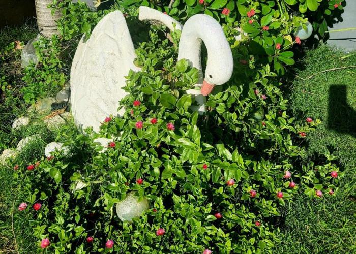 Escapade dans un jardin avec piscine