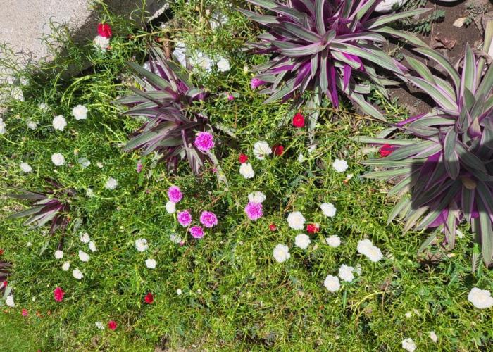 Escapade dans un jardin avec piscine