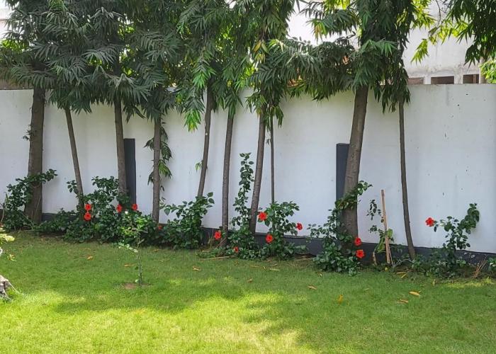 Escapade dans un jardin avec piscine