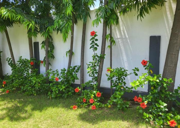 Escapade dans un jardin avec piscine