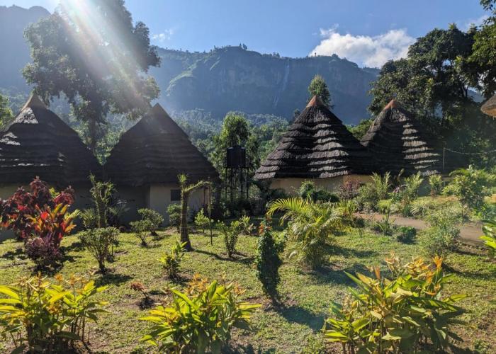 Cwmbale Eco-Safari Lodges, Restaurant and Zoo.