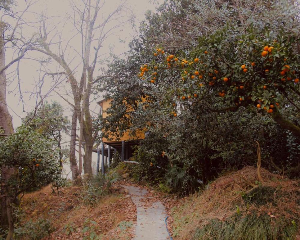 фото ANANIA Cottage