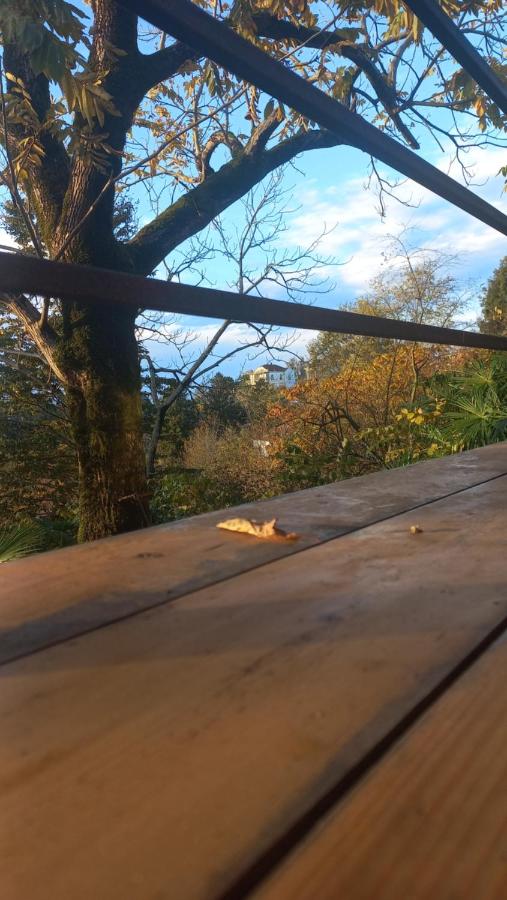 фото ANANIA Cottage