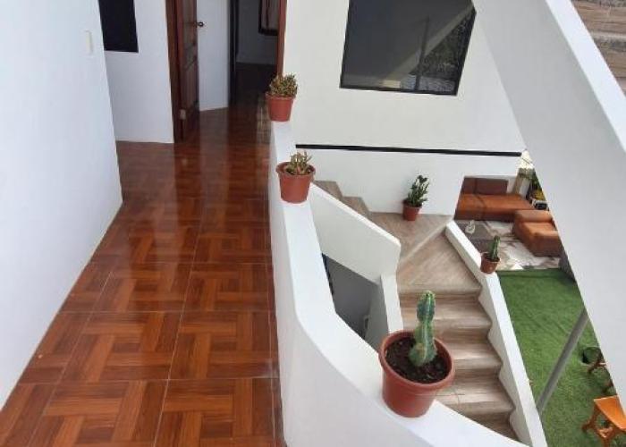 Galápagos Brunette Suites I