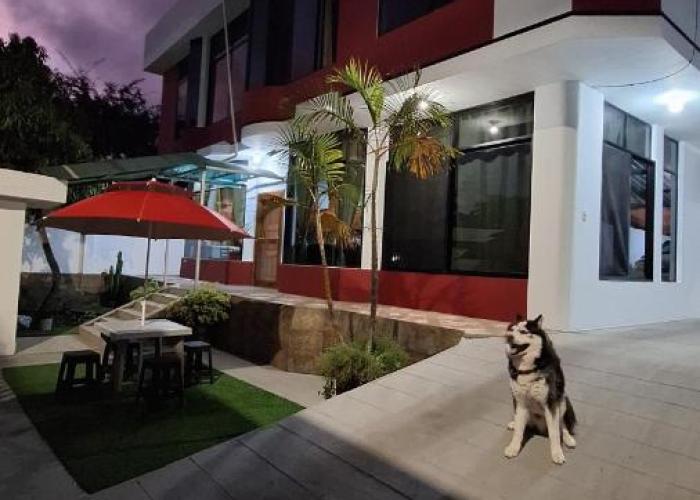 Galápagos Brunette Suites I
