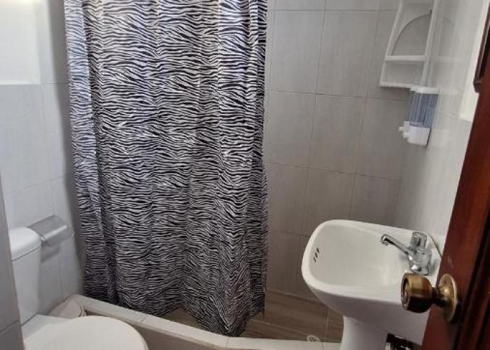 Galápagos Brunette Suites I