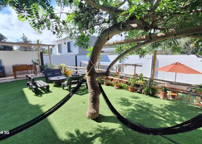 Galápagos Brunette Suites I
