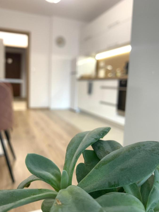 фото SOFIA CENTRAL LUXURY APARTMENT 