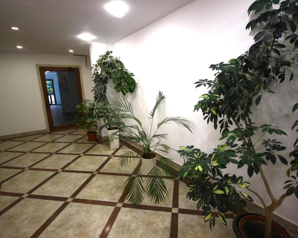 фото SOFIA CENTRAL LUXURY APARTMENT 