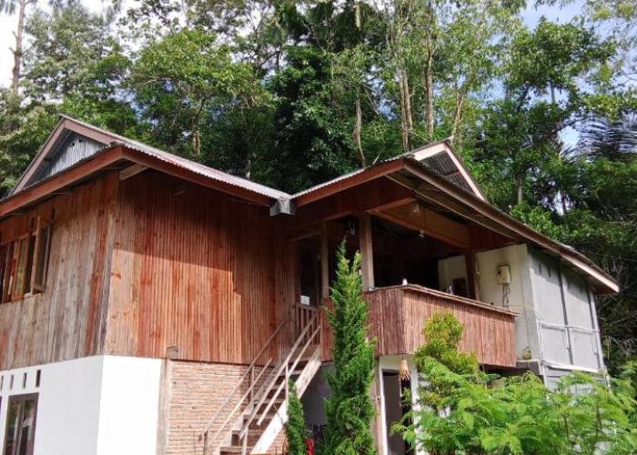 Hostel Papa Tia