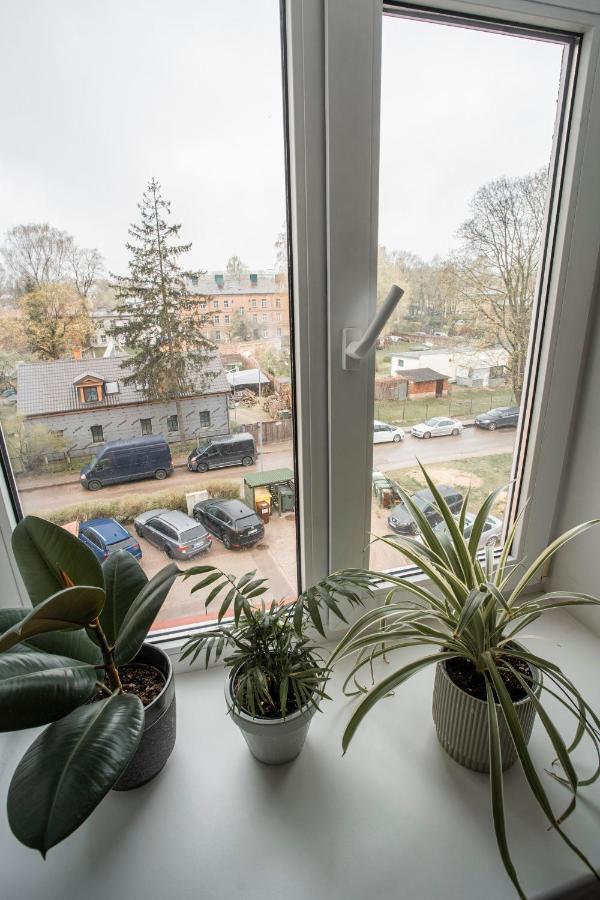 фото Nice&cozy flat No7