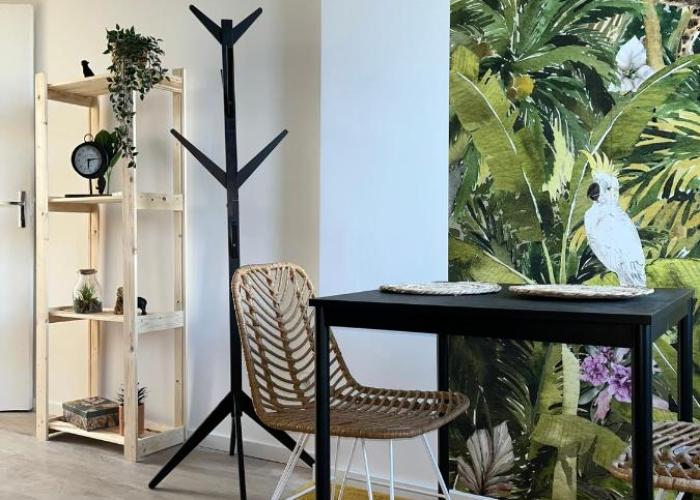 Studio tropical , vierzon , proche gare , tout confort