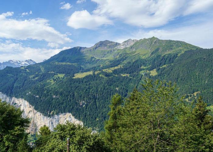 Chalet Krokus 6