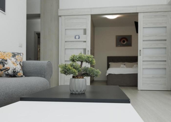 Exclusive Ultracentral Apartments and Studios #Enescu#Universitatii#Suceava