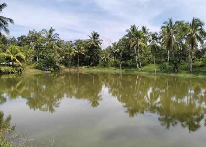De'Lakeside musslim's homestay