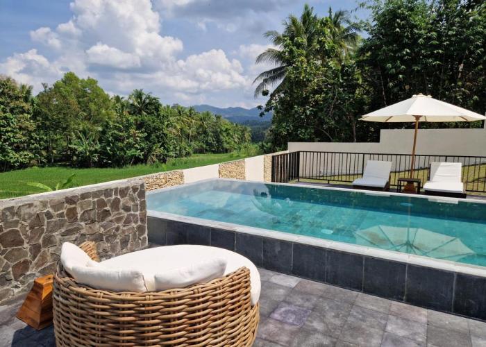 Villa Norwegia - pool with panorama rice field view