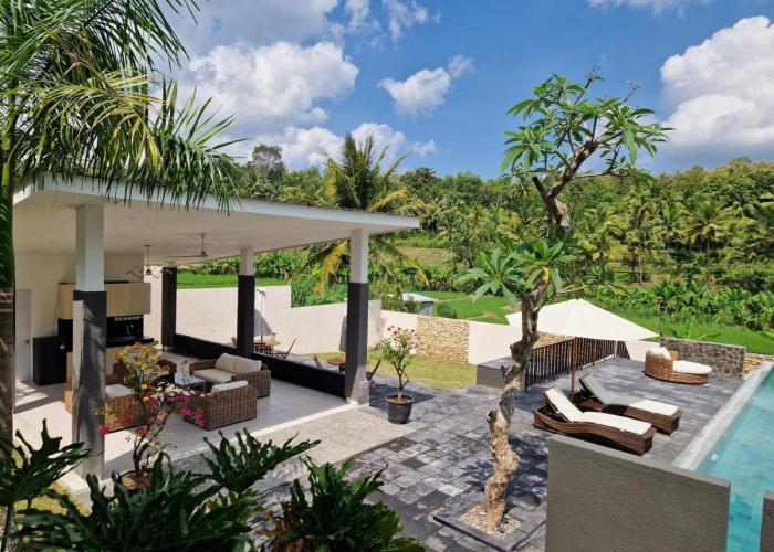 Villa Norwegia - pool with panorama rice field view
