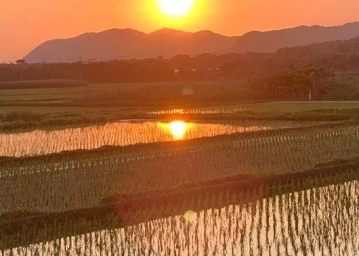 Holiday homes 青と夕日