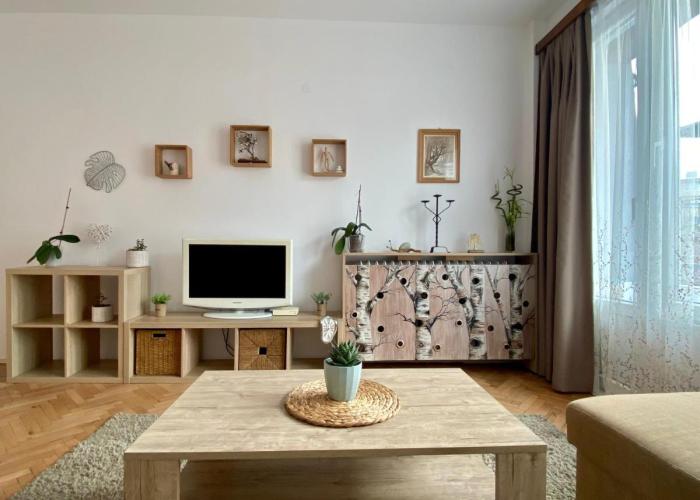Lovely apartment in the heart of Sofia