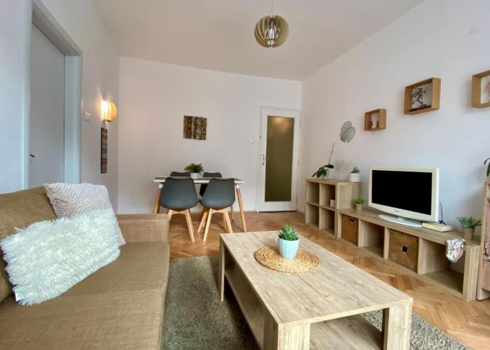 Lovely apartment in the heart of Sofia