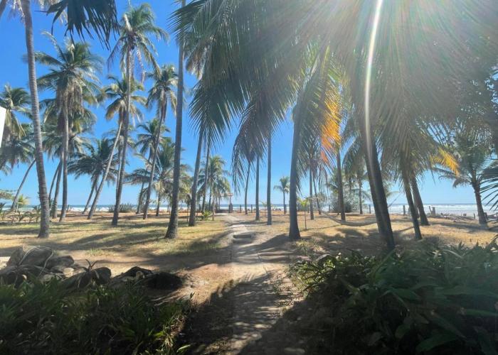 Sugarloaf Beach House & Surf Lodge