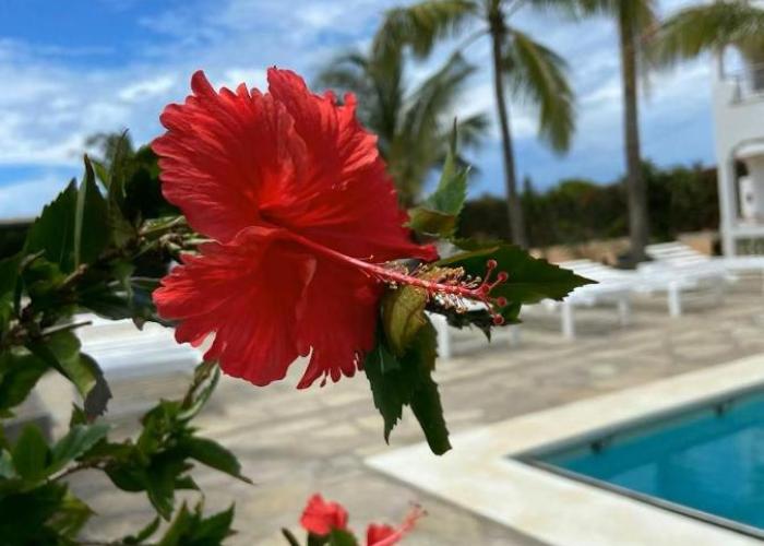 Avana Resort Watamu