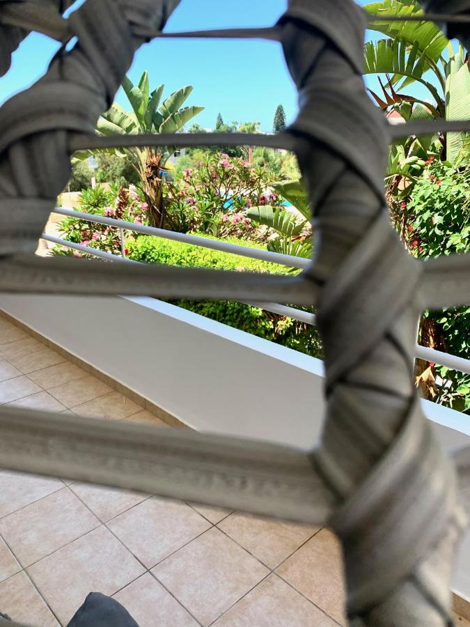 фото Nissi 3 E8 Pool View Apt