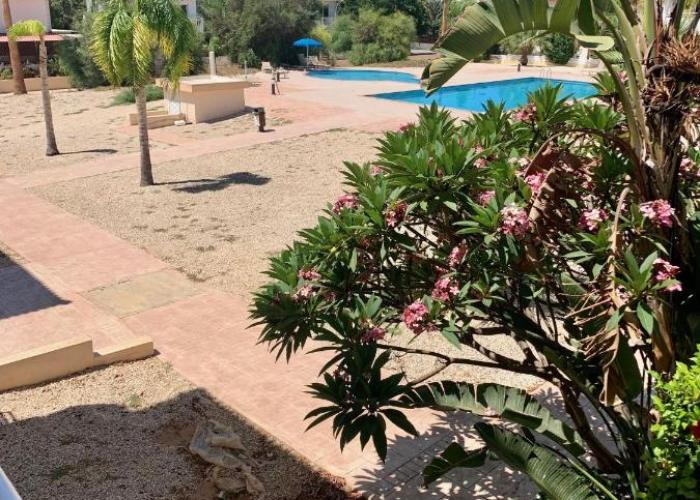 Nissi 3 E8 Pool View Apt