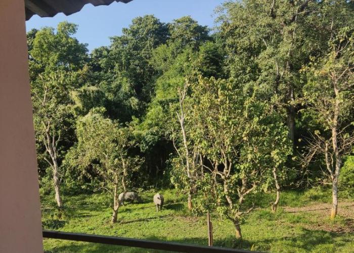 Madhuban Resort