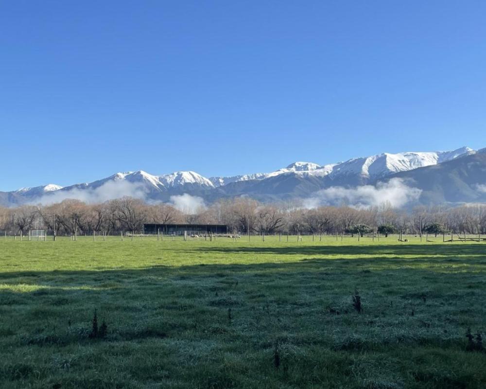 Birdsong Alley Bed and Breakfast