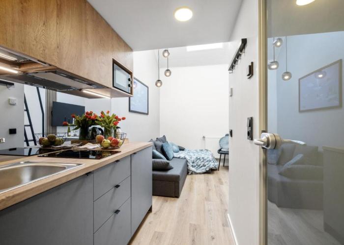 Bright Lofts near City Center Harbour