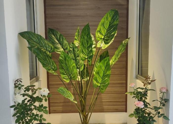 Greenery Rooms