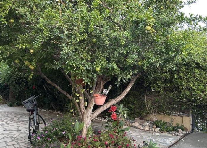 Beautiful maisonette in Protaras