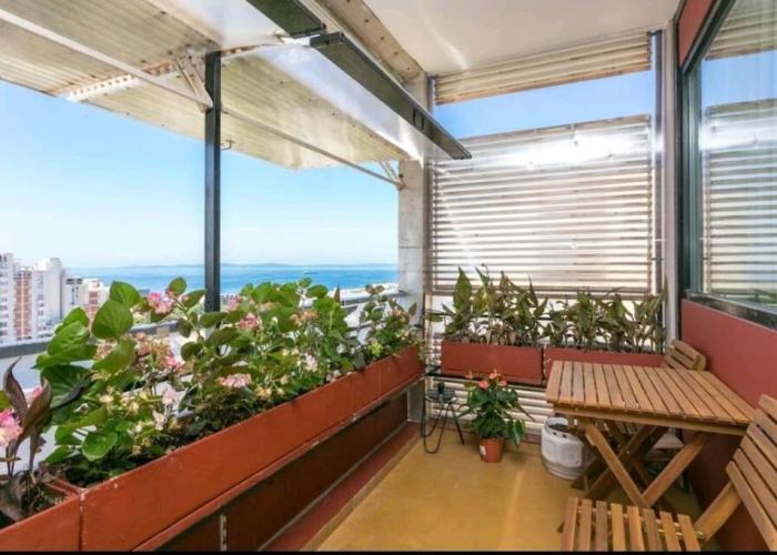 Apartman Seaview DIDA