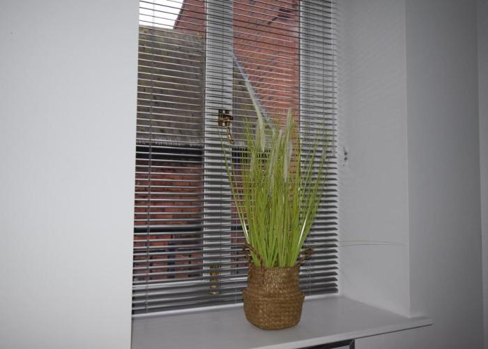7 Plants Yard