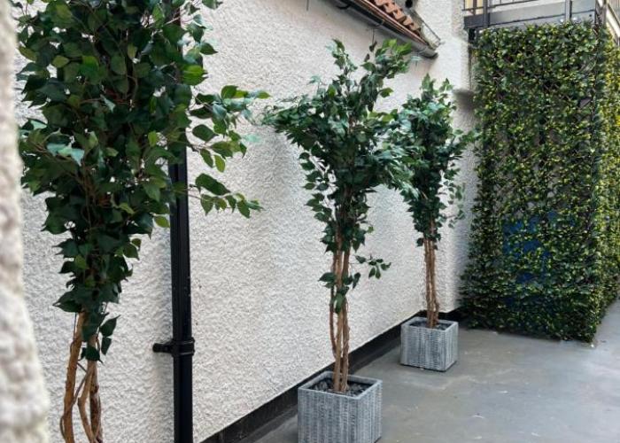 No 8 Plants Yard Modern studio in Worksop