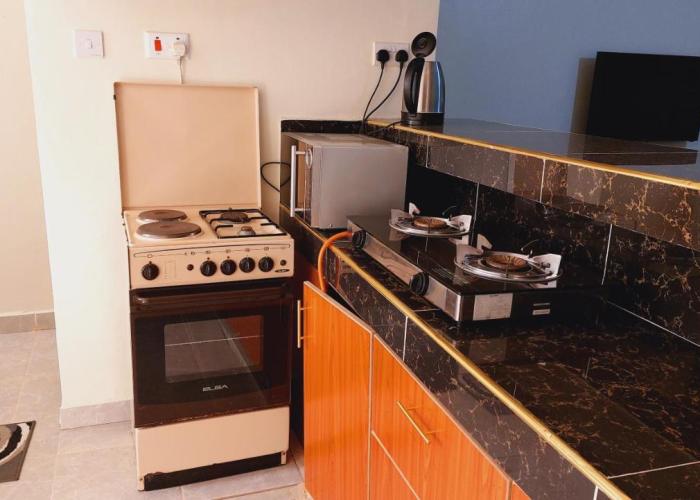 MaGiK Furnished All Ensuite 2 bedroom Apartment