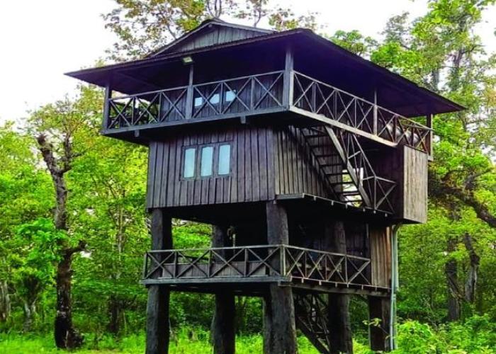 Hotel Horizon Homes - Sauraha Chitwan