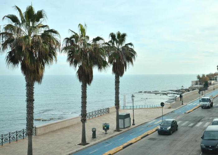 Frisio Reef Apartment- Sea View