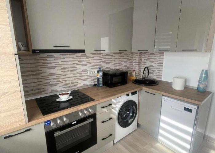 Luxury Apartment