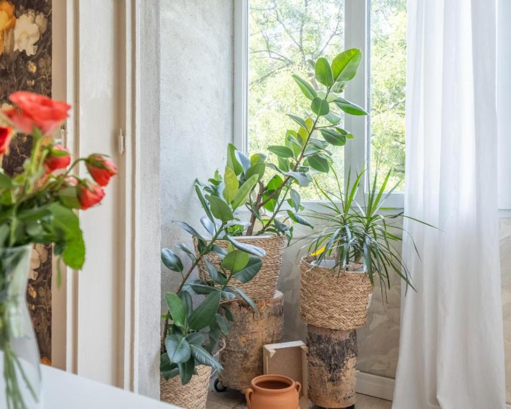 фото Classy apartment