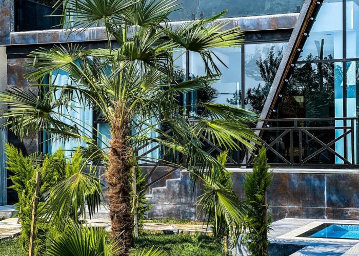 Qafqaz Luxury Chalet
