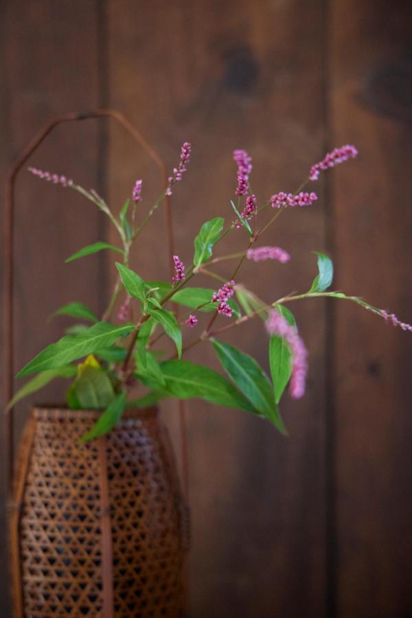 фото ゲストハウス長閑