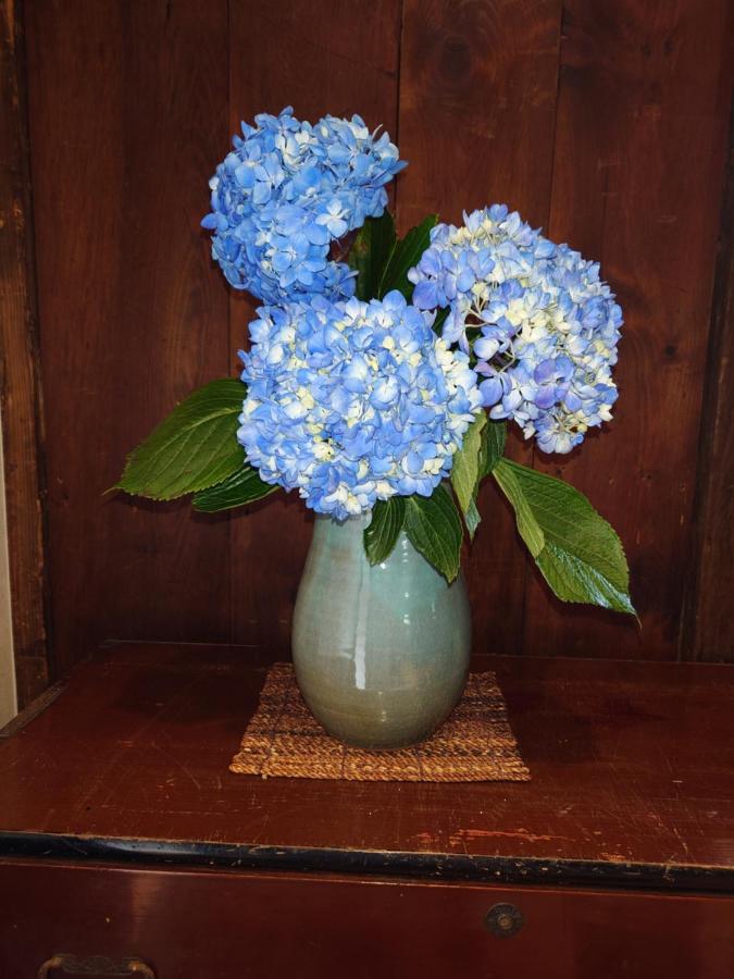 фото ゲストハウス長閑