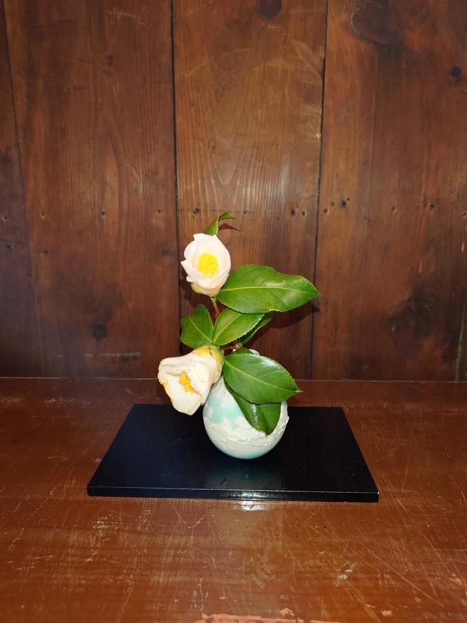 фото ゲストハウス長閑