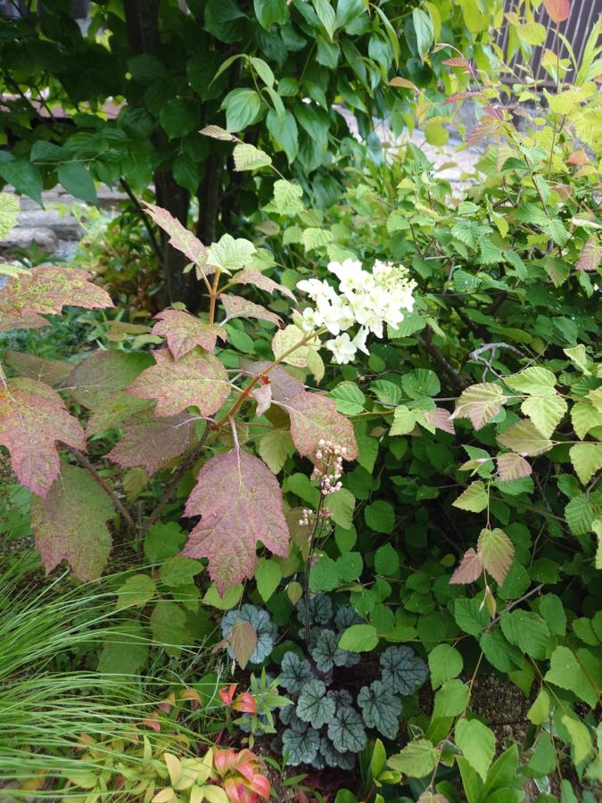 фото ゲストハウス長閑