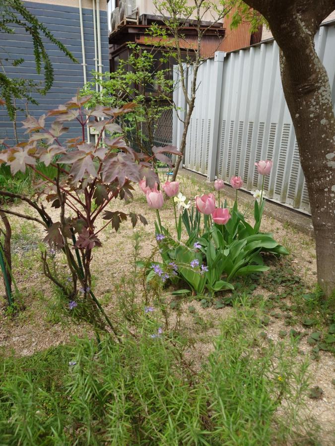 фото ゲストハウス長閑